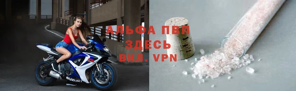 шишки Дмитриев