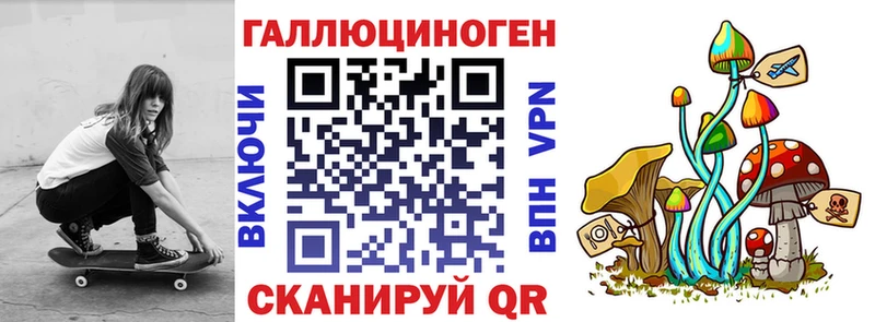 Галлюциногенные грибы Cubensis  Норильск 